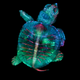 Fluorescent turtle embryo